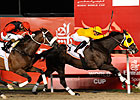 Kinsale King Shows New Attitude in Dubai Kinsale King Shows New Attitude in Dubai