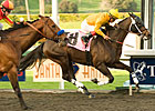 Ventana Looking 'Lucky' for Potrero Grande Ventana Looking 'Lucky' for Potrero Grande