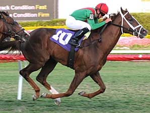 Kinsella Euthanized After Workout Kinsella Euthanized After Workout