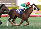 Kinsella Euthanized After Workout Kinsella Euthanized After Workout