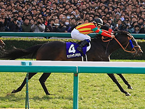 Kinshasa no Kiseki Repeats in Japan Grade I Kinshasa no Kiseki Repeats in Japan Grade I
