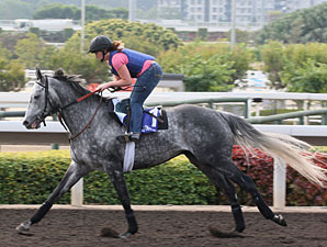 Kip Deville Has Big Chance in HK Mile Kip Deville Has Big Chance in HK Mile