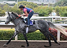 Kip Deville Has Big Chance in HK Mile
