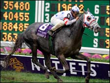PORTER ON PEDIGREES: Breeders' Cup Round-Up PORTER ON PEDIGREES: Breeders' Cup Round-Up