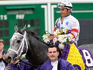 Kip Deville Recovering From Colic Attack Kip Deville Recovering From Colic Attack
