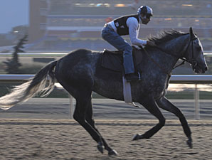Kip Deville vs. Ventura in Woodbine Mile Kip Deville vs. Ventura in Woodbine Mile