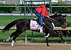 Vance Seeks Home Track Win With Kiss Moon Vance Seeks Home Track Win With Kiss Moon
