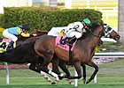 Kiss the Kid to Journeyman in Florida