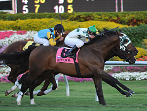 Full Field of 14 to Try Ft. Lauderdale Stakes