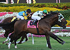 Full Field of 14 to Try Ft. Lauderdale Stakes Full Field of 14 to Try Ft. Lauderdale Stakes