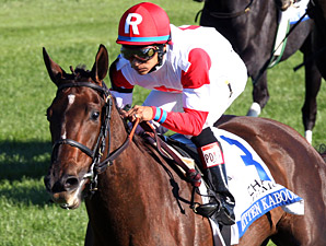 Kitten Kaboodle Skims to Jessamine Win Kitten Kaboodle Skims to Jessamine Win