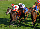 Kitten's Dumplings Quirky Winner of QEII Kitten's Dumplings Quirky Winner of QEII