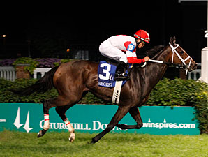 Kitten's Dumplings Mashes Regret Stakes Field Kitten's Dumplings Mashes Regret Stakes Field