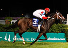 Kitten's Dumplings Mashes Regret Stakes Field