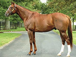 Pedigree Analysis: The Kittens Keep Coming Pedigree Analysis: The Kittens Keep Coming