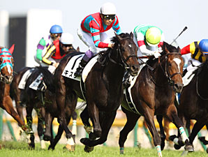 Kizuna Kicks Late for Japanese Derby Triumph Kizuna Kicks Late for Japanese Derby Triumph