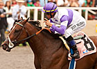 No More U.S. Lion Hearts After Current 2YOs No More U.S. Lion Hearts After Current 2YOs
