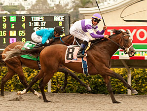 Know More Heads Dozen in Del Mar Futurity Know More Heads Dozen in Del Mar Futurity