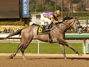 Kobe's Back Stylish Winner of San Vicente Kobe's Back Stylish Winner of San Vicente