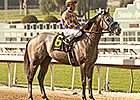 Kobe's Back Sprints Onto Derby Trail Kobe's Back Sprints Onto Derby Trail