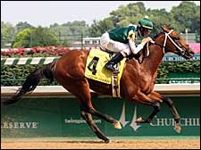 Kodiak Kowboy Heads Saratoga Special Field Kodiak Kowboy Heads Saratoga Special Field