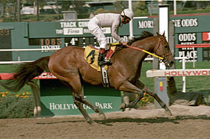 Kona Gold to Kentucky Horse Park Kona Gold to Kentucky Horse Park