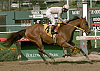 Kona Gold to Kentucky Horse Park Kona Gold to Kentucky Horse Park