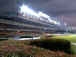 All Eyes on Super Easy in Singapore Guineas All Eyes on Super Easy in Singapore Guineas