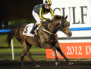 Krypton Factor Zips to Golden Shaheen Win Krypton Factor Zips to Golden Shaheen Win