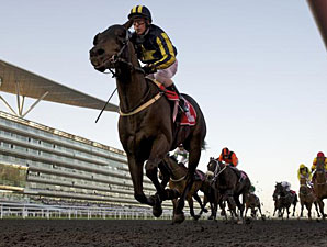 Krypton Factor Impressive in Mahab Al Shimaal Krypton Factor Impressive in Mahab Al Shimaal