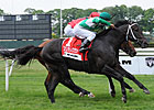 Krypton Upsets Nordic Truce in Hill Prince
