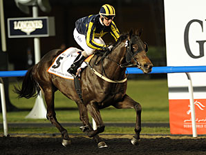 Krypton Factor Heads Al Shindagha Sprint Krypton Factor Heads Al Shindagha Sprint