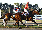Lingote de Oro Wins Big Handicap in Argentina Lingote de Oro Wins Big Handicap in Argentina