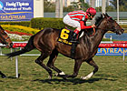 La Luna de Miel Shines Brightest in Orchid