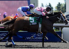 La Rocca Shows the Way in Ontario Matron La Rocca Shows the Way in Ontario Matron