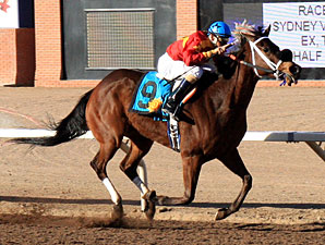 New Mexico Breeders Honor Best of 2011 New Mexico Breeders Honor Best of 2011