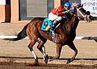 New Mexico Breeders Honor Best of 2011 New Mexico Breeders Honor Best of 2011