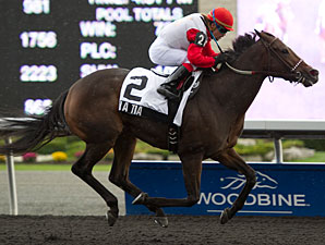 La Tia Bangs Rail, Still Wins La Lorgnette La Tia Bangs Rail, Still Wins La Lorgnette