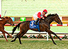 Slick Matriarch Win for Front-Running La Tia Slick Matriarch Win for Front-Running La Tia