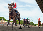 La Tia Impressive Arlington Matron Winner La Tia Impressive Arlington Matron Winner