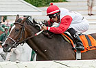 La Tia Faces Matron Invader Moment in Dixie La Tia Faces Matron Invader Moment in Dixie