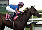 La Traviata Opts for Filly & Mare Sprint; Meets Dream Rush