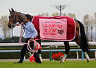 Lachesis Edges Nuovo Record in QE II Cup Lachesis Edges Nuovo Record in QE II Cup