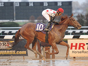 Demoiselle Draws Promising 10-Horse Field Demoiselle Draws Promising 10-Horse Field