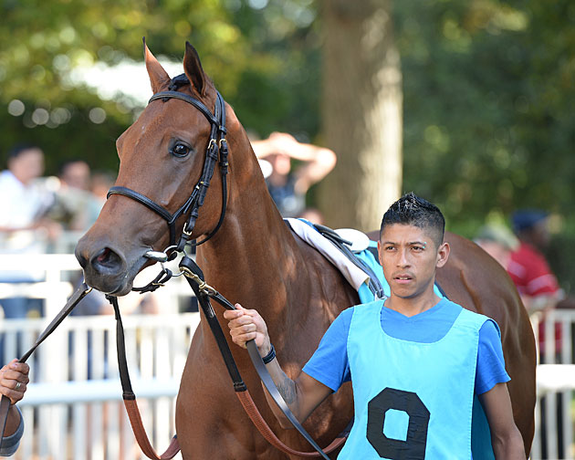 Lady Eli