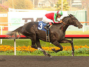 Open Water, Lady of Fifty Vie Again in Vanity Open Water, Lady of Fifty Vie Again in Vanity