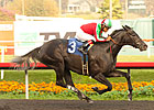 Open Water, Lady of Fifty Vie Again in Vanity Open Water, Lady of Fifty Vie Again in Vanity