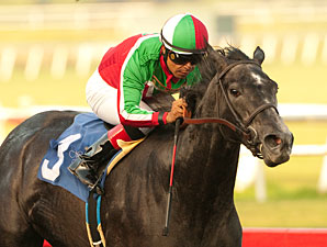 Hollendorfer Has Half of Santa Maria Field Hollendorfer Has Half of Santa Maria Field