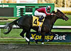 Cal Oaks All Hollendorfer; Lady of Fifty Wins Cal Oaks All Hollendorfer; Lady of Fifty Wins