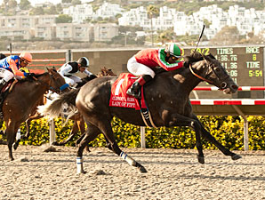 Lady of Fifty Redeemed With Hirsch Surprise Lady of Fifty Redeemed With Hirsch Surprise